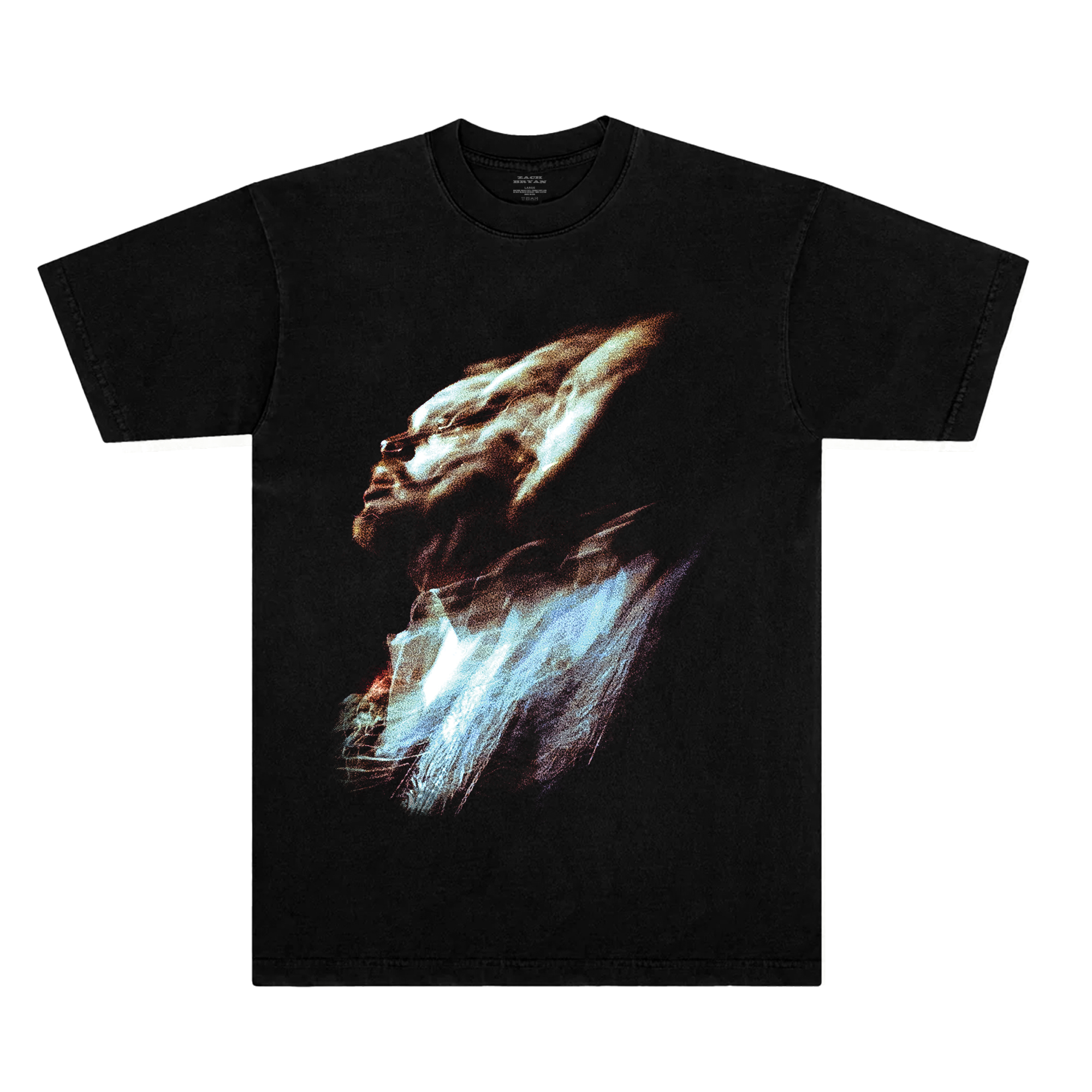 Golden Gate Park Fade Tee