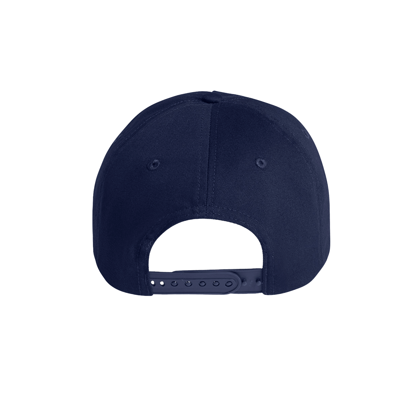 ZB Michigan Hat